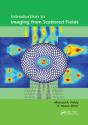 Introduction To Imaging From Scattered Fields - Preview