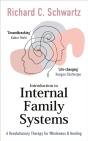 Introduction To Internal Family Systems - Preview