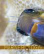Introduction To Marine Biology Fourth So - Preview