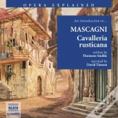 Introduction To Mascagni