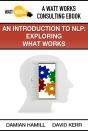 Introduction To Nlp: Exploring What Works - Preview