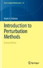 Introduction To Perturbation Methods - Preview