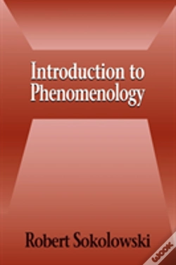 Capa do artigo Introduction To Phenomenology