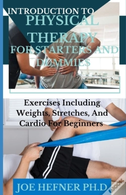 Capa do artigo Introduction To Physical Therapy For Starters And Dummies