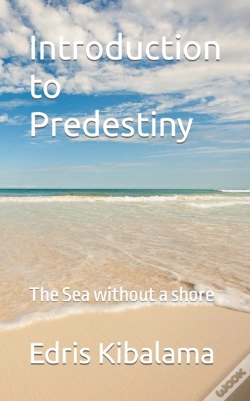 Capa do artigo Introduction To Predestiny