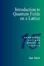 Introduction To Quantum Fields On A Lattice - Preview