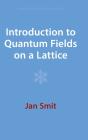 Introduction To Quantum Fields On A Lattice - Preview