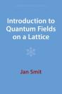 Introduction To Quantum Fields On A Lattice - Preview
