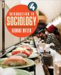 Introduction To Sociology - Preview