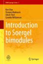 Introduction To Soergel Bimodules - Preview