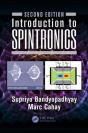 Introduction To Spintronics - Preview