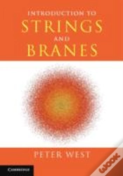 Capa do artigo Introduction To Strings And Branes