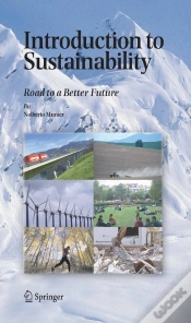 Capa do artigo Introduction To Sustainability