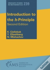 Capa do artigo Introduction To The H-Principle