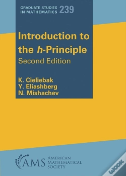 Capa do artigo Introduction To The H-Principle