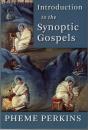 Introduction To The Synoptic Gospels - Preview
