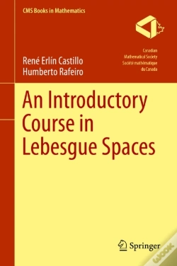 Capa do artigo Introductory Course In Lebesgue Spaces