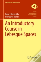 Introductory Course In Lebesgue Spaces