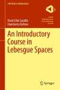 Introductory Course In Lebesgue Spaces - Preview
