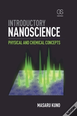 Capa do artigo Introductory Nanoscience