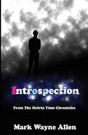 Introspection - Preview