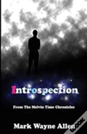 Capa do artigo Introspection