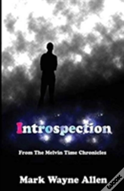 Capa do artigo Introspection