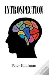 Capa do artigo Introspection