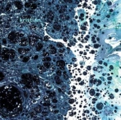Capa do artigo Introspection - Vinil