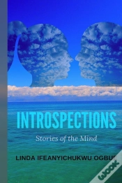 Capa do artigo Introspections