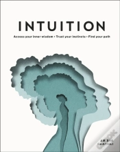 Capa do artigo Intuition