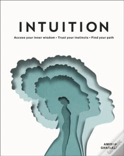 Capa do artigo Intuition