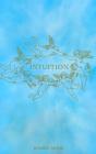Intuition - Preview