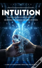 Capa do artigo Intuition