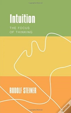 Capa do artigo Intuition