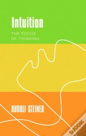 Capa do artigo Intuition