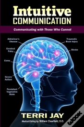 Capa do artigo Intuitive Communication