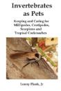 Invertebrates As Pets - Preview