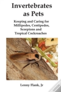 Capa do artigo Invertebrates As Pets