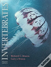 Capa do artigo Invertebrates