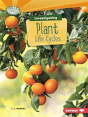 Investigating Plant Life Cycles - Preview