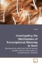 Investigating The Mechanisms Of Transcri - Preview