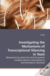 Investigating The Mechanisms Of Transcri