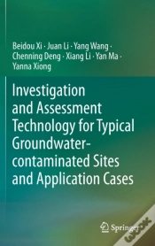 Capa do artigo Investigation And Assessment Technology For Typical Groundwater-Contaminated Sites And Application Cases