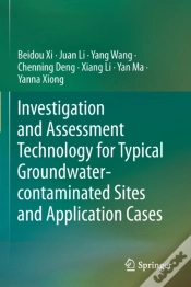 Capa do artigo Investigation And Assessment Technology For Typical Groundwater-Contaminated Sites And Application Cases