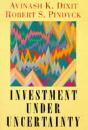 Investment Under Uncertainty - Preview