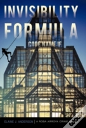 Capa do artigo Invisibility Formula