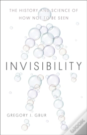 Capa do artigo Invisibility