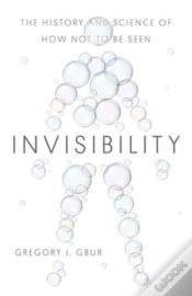 Capa do artigo Invisibility