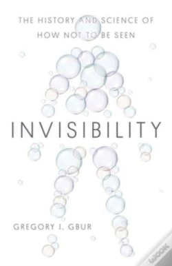 Capa do artigo Invisibility